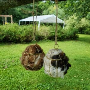 Boule Oiseau-Toudou