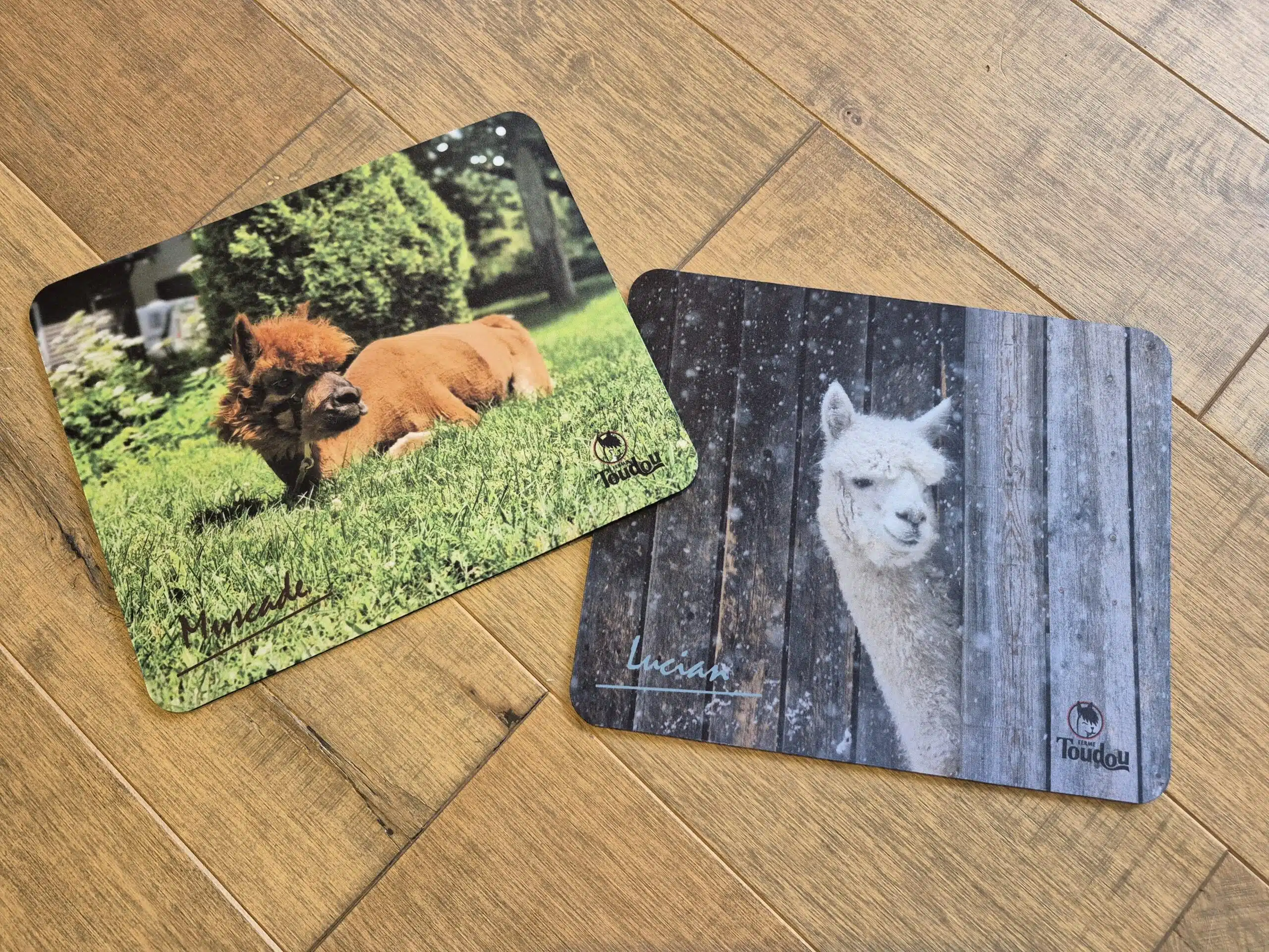 Tapis de souris Toudou