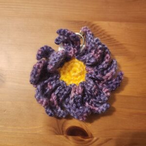 Aster